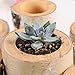 Succulent Plant Birch Bark Holder Tealight Candleholders Birch Flower Pots Wooden Candle Holder Party Decoration 4 Pcs