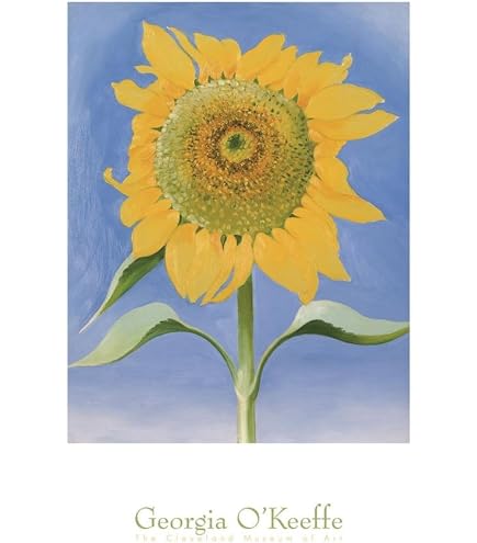 Amazon.com: McGaw Graphics Georgia O'Keeffe Petunias 1925 Art