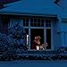 The ORIGINAL Virtual Santa in the Window Movie on USB. Includes Kringle Bros High Resolution Rear Projection Screen