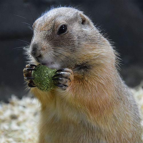 WATFOON Small Pets Chew Toy, Hamsters Snacks Treat with Organic Timothy Grass Teeth Grinding Molar Ball for Rabbit Chinchillas Guinea Pig Squirrel, Good Digestion 12-Count (Rose Sandwich Flavors)