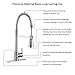 ENZO RODI Kitchen Faucets Commercial Solid Brass Single Handle Single Lever Pull Down Sprayer Spring Kitchen Sink Faucet, Brushed Nickel ERF7343377AP-10