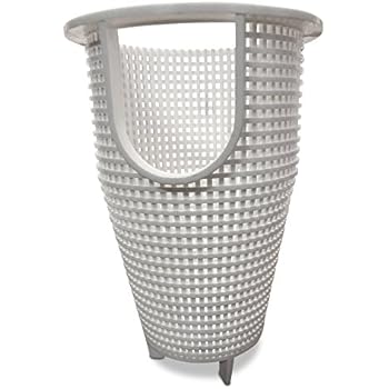 Amazon.com : Pentair 070387 IntelliFlo /WhisperFlo Pool
