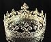 Janefashions Men's Full Round Circle King Metal Hair Jewelry Crown Austrian Rhinestone Crystal Fleur-de-lis Theater Medieval Times T1876g Gold