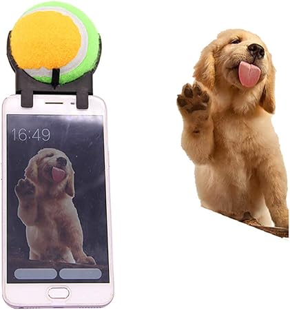 pooch selfie amazon