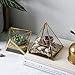 Glass Geometric Terrarium Container 4.5X5.2 inch and 4.3X3.7 inch Glass Terrarium for Succulent & Air Plant (Gold, 2pcs)