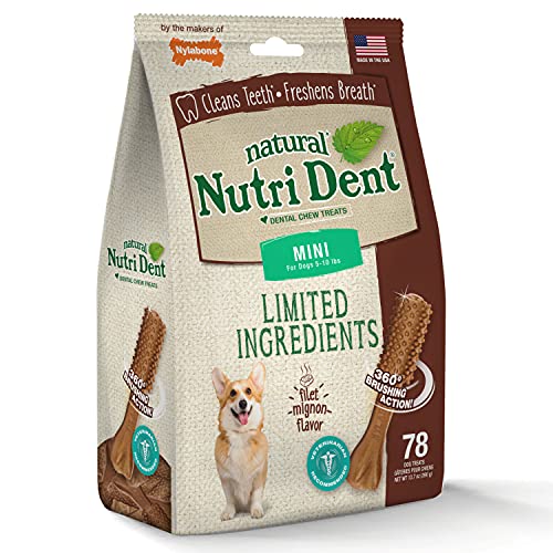 Nylabone Nutri Dent Dog Dental Treats Natural Dog Teeth Cleaning