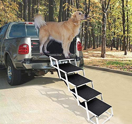 accordion pet steps