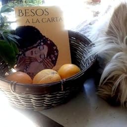 Besos a la carta: (Poesía. Amor, humor y erotismo) eBook: Sanz ...