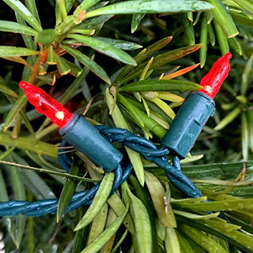 200 Red Christmas Lights, Commercial Grade LED Seasonal and Decorative