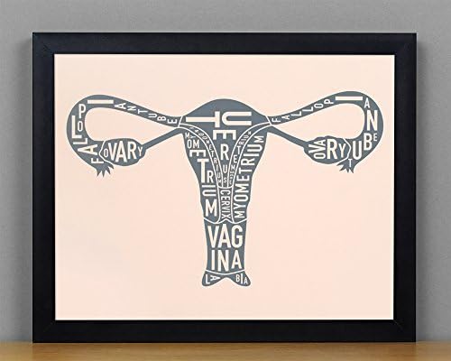 Ork Posters Framed Female Reproductive System Typographic Diagram Screenprint, Blush & Grey, 10" x 8" in Black Frame