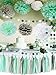 PartyGarden Mint Baby Shower Decorations/Mint Grey White Elephant Baby Shower Supplies TIssue Paper Pom Pom Circle Garland Tassel Garland Mint Bridal Shower Decorations/Mint Grey Birthday Party Decor