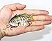 Discover Fish New Multi Jointed Fishing Life-Like Hard Lure Bass Bait Swimbait Minnow Crank Shad Herring Bass Pike Muskie
