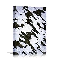 Canvas Wall Art Organic Arrangement Abstract Colorful Contemporary Hallway Mixed Media Multicolor Patterns - 12x18 inches