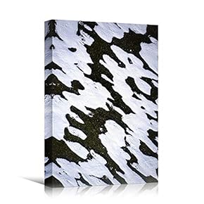 signwin Canvas Wall Art Organic Arrangement Abstract Colorful...