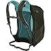 Osprey Packs Talia Daypack, Misty Grey