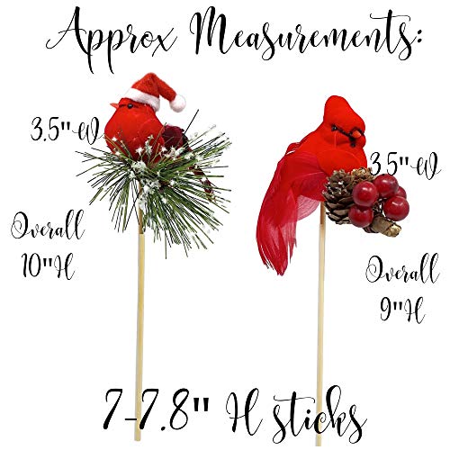 image for BANBERRY DESIGNS Cardinals Chrismtas Ornaments - Set of 6 Floral Clip-