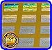 500 pcs Hologram Labels with Serial Numbers, Warranty Stickers Seals .63 x .39 inch