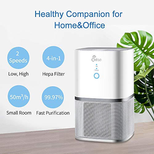 Do Cheap Air Purifiers Work? (These 10 Products Prove They Do)