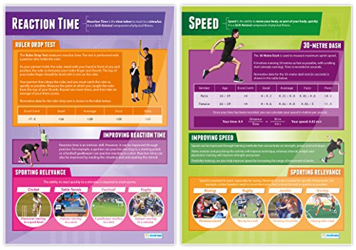 Components of Physical Fitness - Set of 12 PE Posters | Classroom Posters for PE | Gloss Paper measuring 33" x 23.5" | Phys Ed School Posters | Physical Education Gym Charts, by Daydream Education - Thumbnail 5