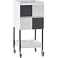 BarberPub Salon Storage Rolling Cart with Casters, Contrast Panel Craft Art Utility Station, Spa Organizer Serving Trolley 2007 (White&Grey)