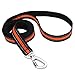 Dog Leash, Itery Reflective Dog Leash Pet Safety Walking and Trainning Leash 6 Feet Length 1 Inch Width (Orange)