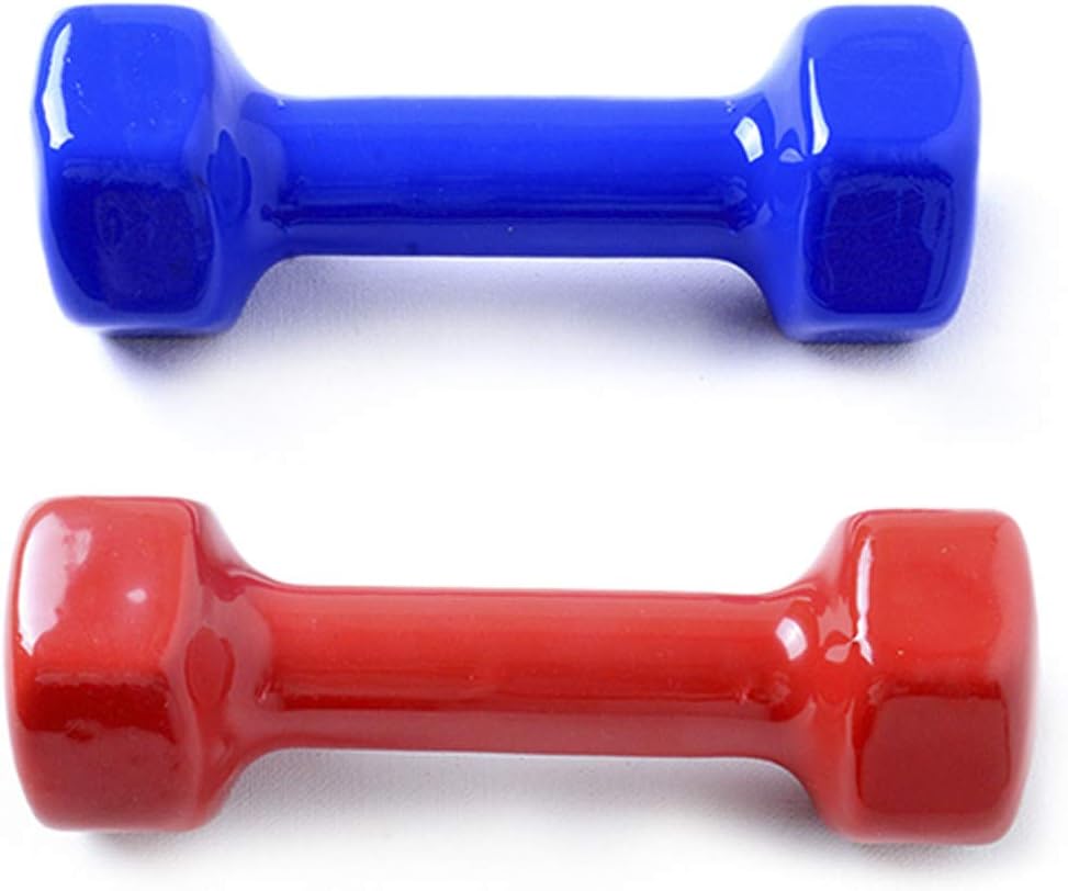 Riscko Set of Vinyl Dumbbells