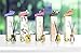 LOVSPA Reed Diffuser Set, English Garden Scented Oil Diffuser with Sticks, Home Fragrance Accessories for Bathroom Shelf Decor, Aroma Diffusers for Home or Office Desk, USA Made