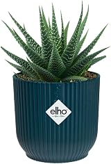 elho Vibes Fold Round Mini 9-100% Recyclable Flower Pot Ø9.3 x H8.8 cm Blue view 3