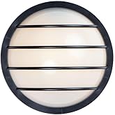Maxim Lighting 10112FTBK Bulwark-1 Light Outdoor Wall Sconce-10.25 Inches Wide by 10.25 inches high, Finish Color: Black