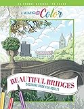 Beautiful Bridges Coloring Book For Adults by Alicia Brewer, Angela Gaines