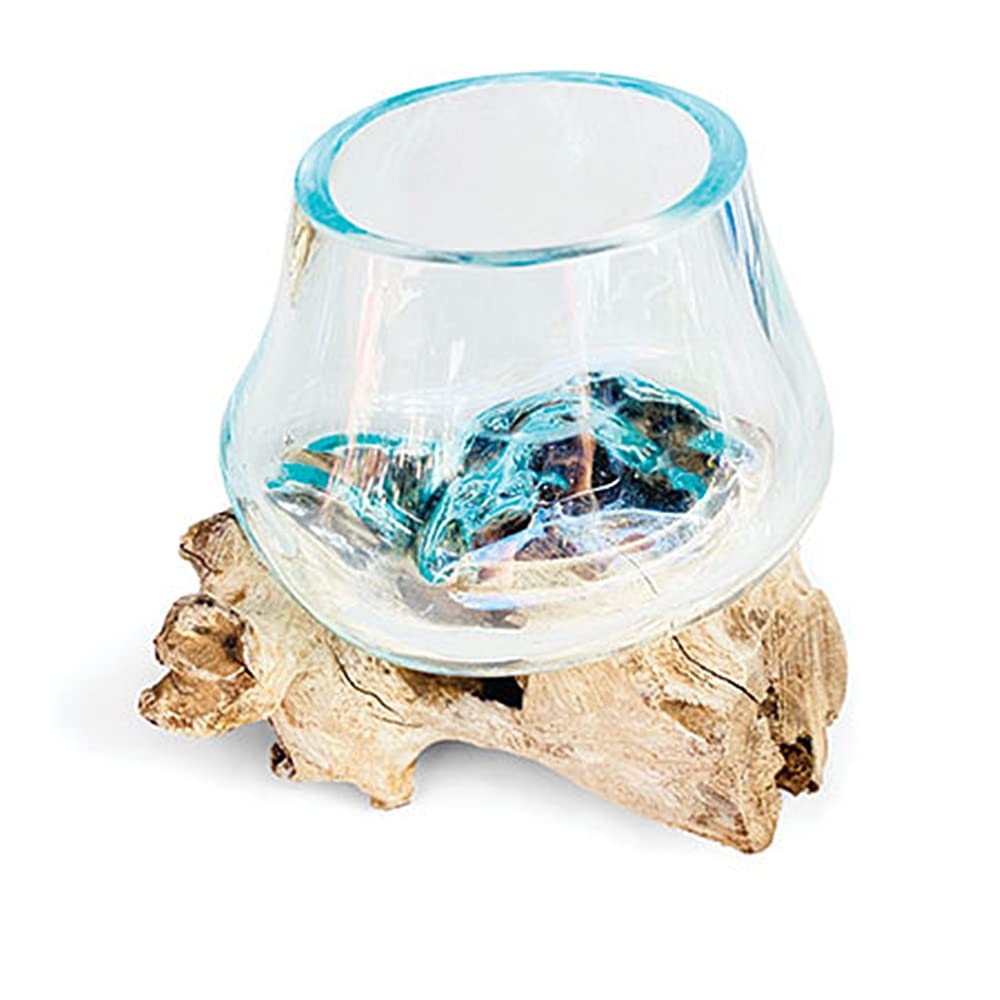 F&G Supplies Beautiful 11cm dia glass vase bowl intricately blown onto a teak root - ideal for flowers or an indoor terrarium - each one unique
