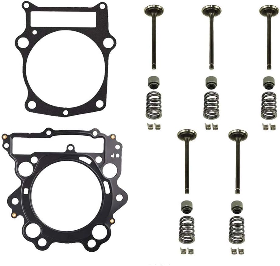 Amhousejoy Cylinder Intake Exhaust Valve Kit for Yamaha Raptor 660R