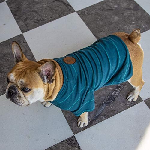 Impawsters Dog Fashion Accessory T-Shirt Clothing for Anniversary Party and Return Gifts Green Stripe Tee Small Size 3