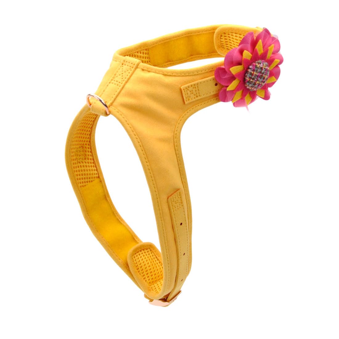 COASTAL PET PRODUCTS Accent Dog Harness Yellow, One Size