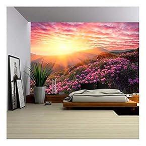 Spring Landscape in Mountains with Flower of a Rhododendron and The Sky with Cloud - Removable Wall Mural | Self-Adhesive Large Wallpaper - 66x96 inches