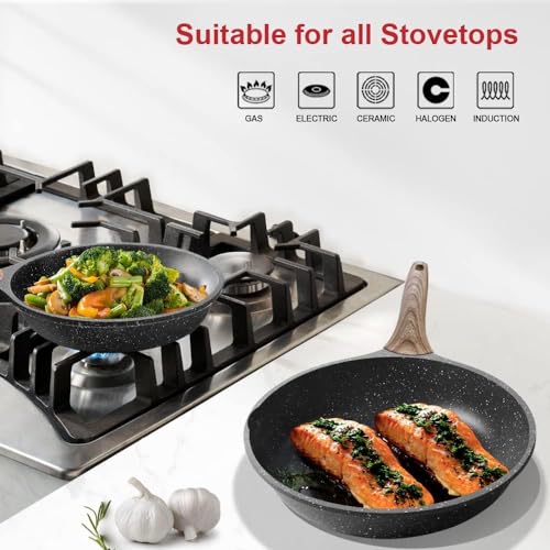 Caannasweis Nonstick Frying Pan Kitchen Granite Skillet, Non Stick Omelette Frying Pans, Omelet Egg Pan, Stone Cookware Chef's Pan, Induction Compatible, PFOA Free Pans for Cooking Gift 20CM