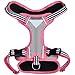 Blueberry Pet 9 Colors Soft & Comfy 3M Reflective Multi-Colored Stripe Mesh Padded No Pull Dog Harness Vest with Back Leash Clips, Large, Pink, Emerald & Orchid