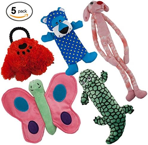 Dawgeee Dog Toys Value 5 Pack for Puppy, Small Dogs and Medium Dogs, Squeaky Toy, Plush Toys, Rope Pet Toys, Dog Chew Toys (Squeaky Pack)