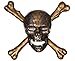 Disney Pirates of The Caribbean 3D Skull & Crossbones Wall Decoration