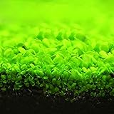 Aquatic Double Leaf Carpet Water Grass Aquarium Plants Seeds Fish Tank Rock Lawn Garden Decor