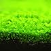 Aquatic Double Leaf Carpet Water Grass Aquarium Plants Seeds Fish Tank Rock Lawn Garden Decor