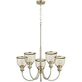 Quorum 6212-5-80 Transitional Five Light Chandelier from Omni Collection in Brass Finish,