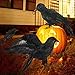 Y- STO Halloween Decorations Realistic 3 PC Birds Black Feathered Crows - Halloween Ravens Prop Décor,Out-Door or Indoor Decoration