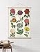Cavallini Papers & Co. Vintage Botanica Hanging Poster Kit, Multicolor