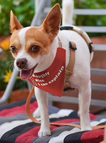 Christmas Gifts for Dogs I Can Explain Nice Naughty List Christmas Outfit for Dogs Small Dog Bandana Scarf for Dogs Bib I Can Explain