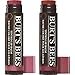 Burt's Bees Naturally Beautiful Duo Gift Set, 2 Tinted Lip Balms in Gift Box - Red Dahlia and Hibiscus