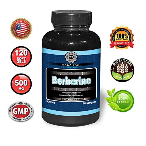 Berberine 500 Mg 120 Caps. Powerful Blood Sugar Supplement. Supports Insulin & Glucose Sensitivity and Metabolism. Helps The Immune System, Fat Burn, Gastrointestinal & Cardiovascular System