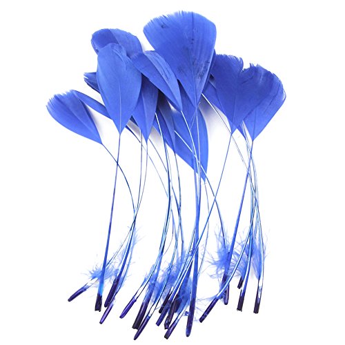 Top 10 best long black feathers with teal for 2019 Sideror Reviews