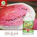 OdoBan Odor Eliminator and Disinfectant Concentrate - Cucumber Melon