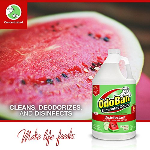 image for OdoBan Multi-Purpose Cleaner Concentrate Cucumber Melon Odor Eliminato